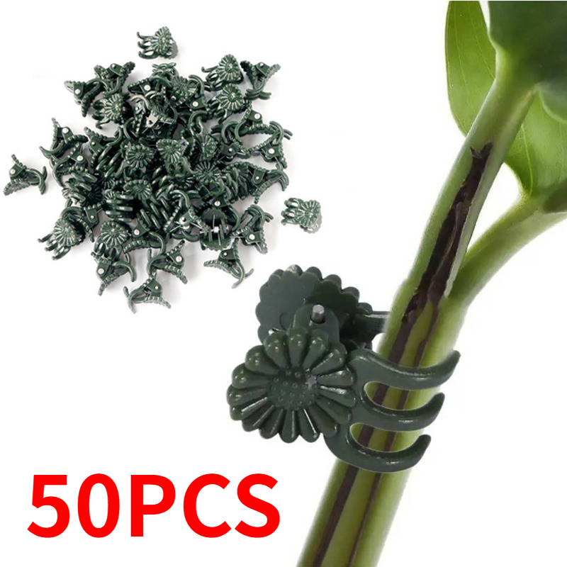 50 pinces de jardinage vert fo - Florist Supply Bulk avis et prix
