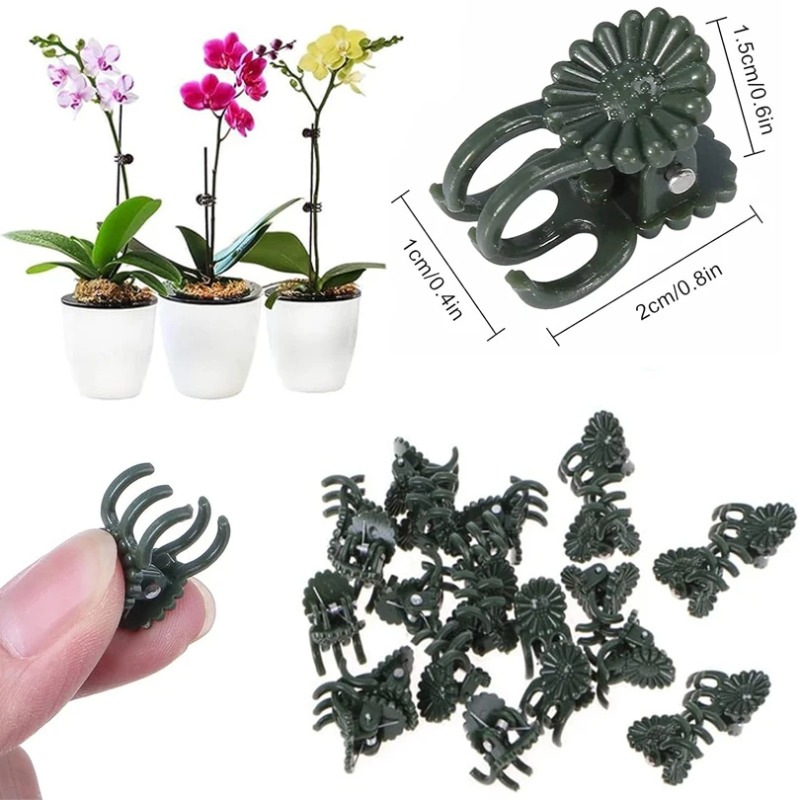 50 pinces de jardinage vert fo - Florist Supply Bulk avis et prix