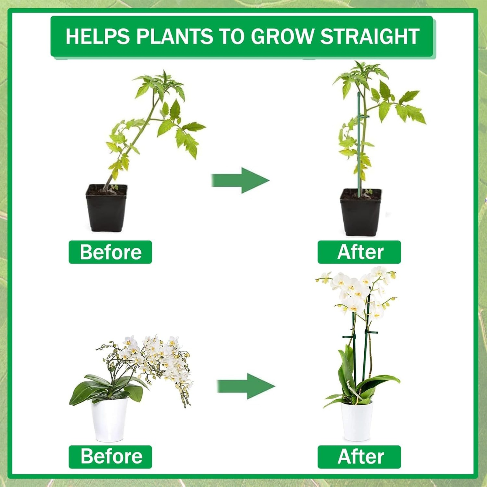 Supports de plantes, tuteurs p - Florist Supply Bulk avis et prix