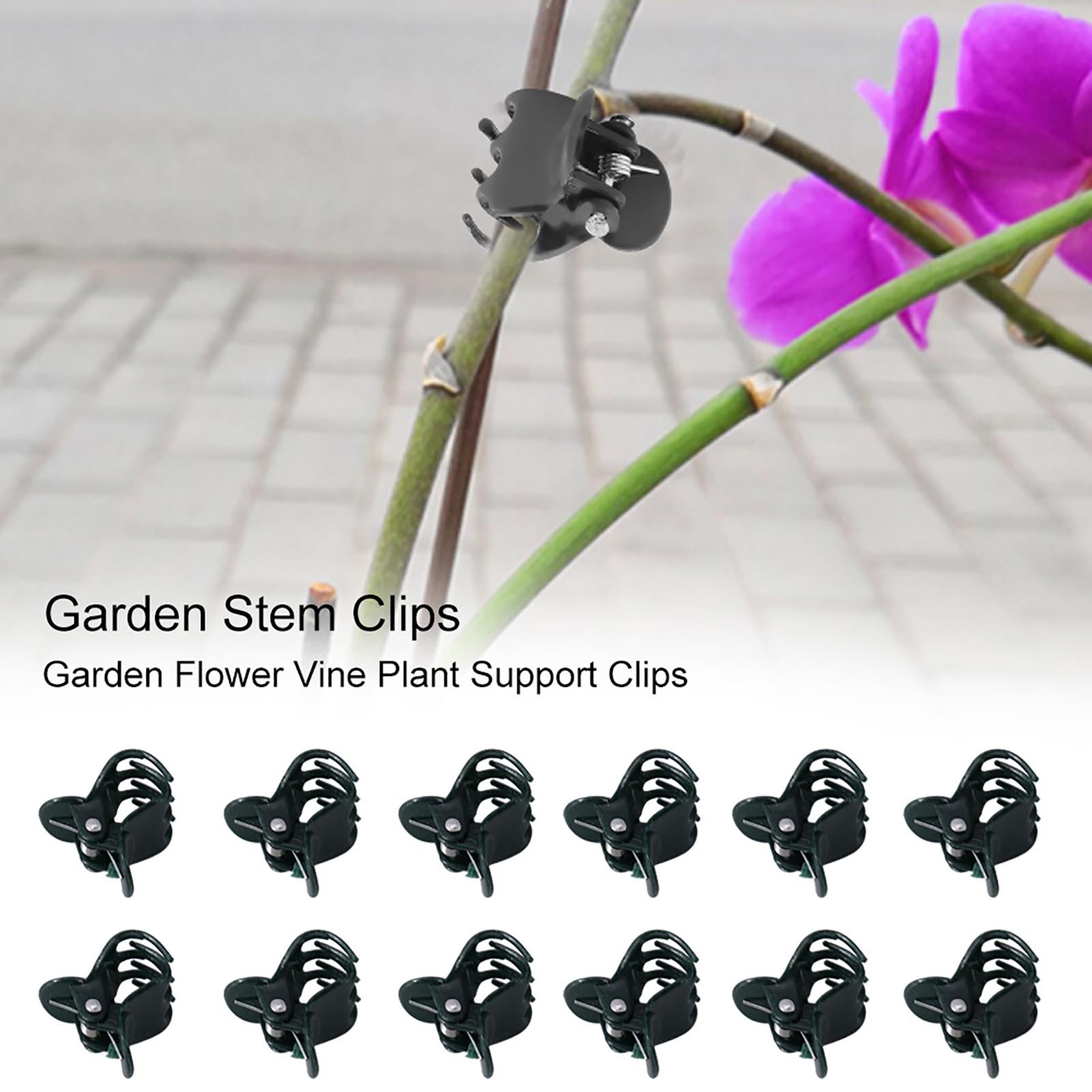 Mini pinces pour plantes orchi - Florist Supply Bulk avis et prix