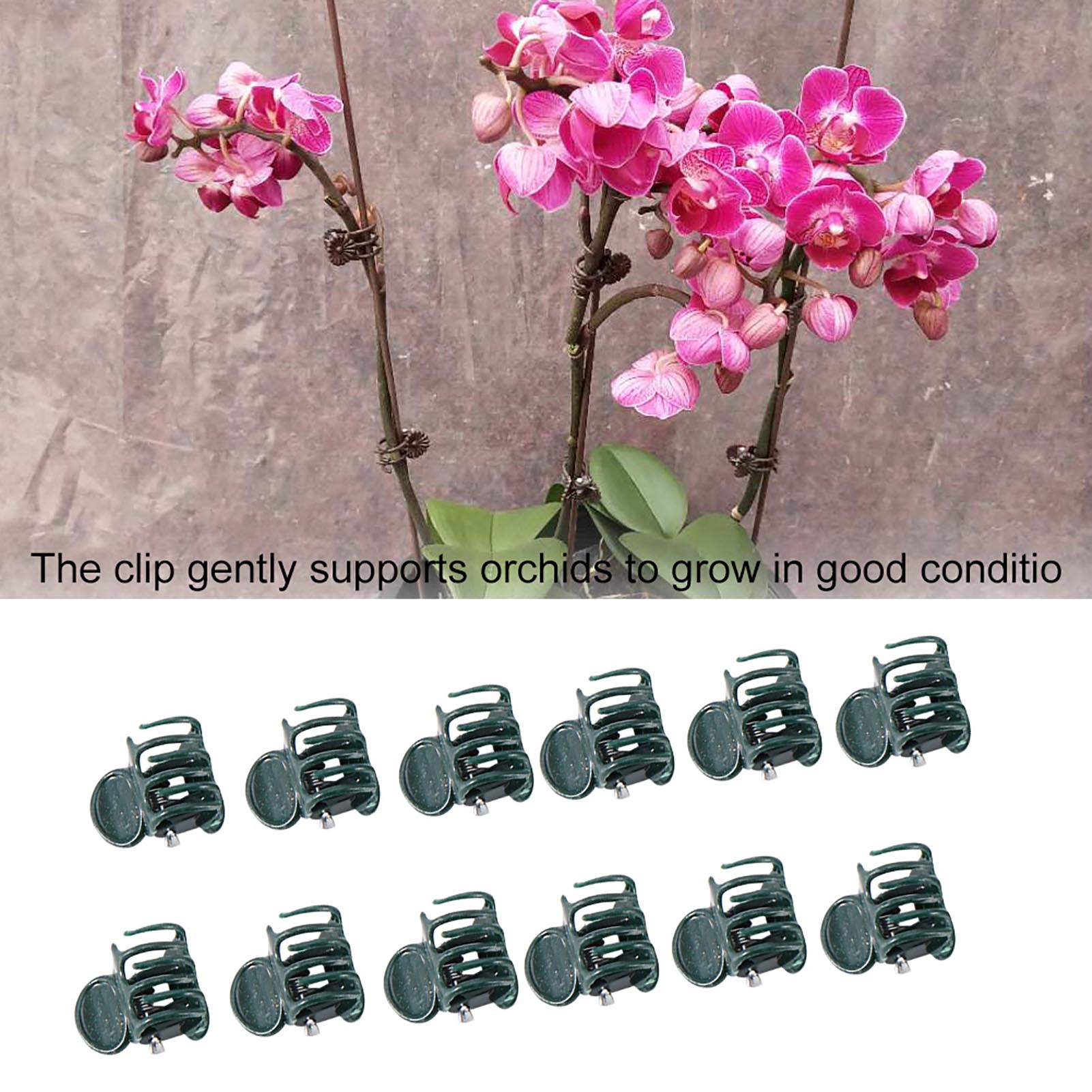 Mini pinces pour plantes orchi - Florist Supply Bulk avis et prix