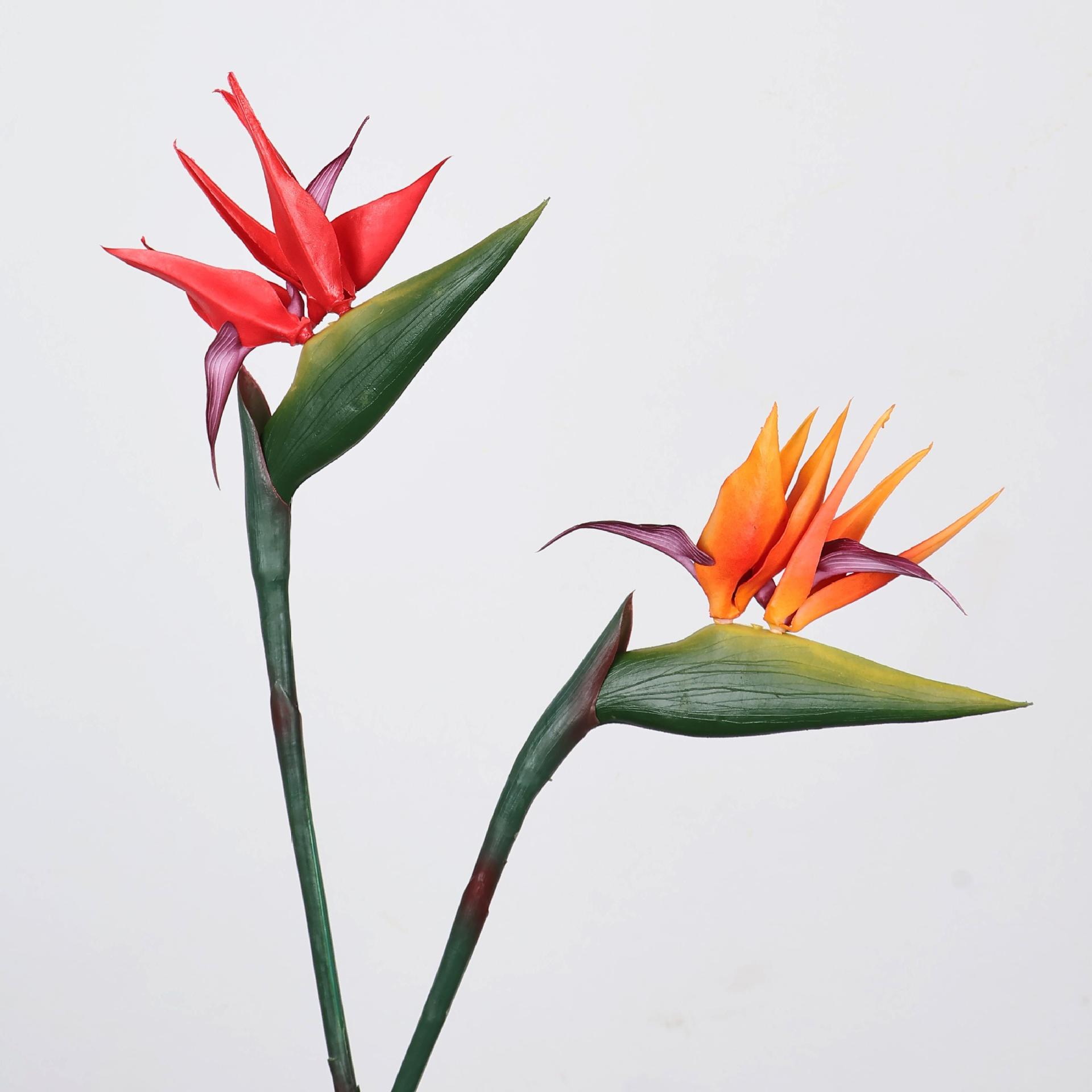 Plante oiseau de paradis artif - Florist Supply Bulk avis et prix