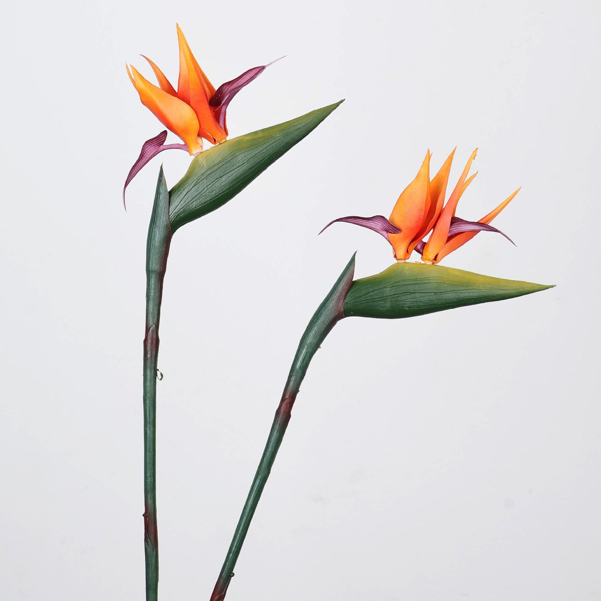 Plante oiseau de paradis artif - Florist Supply Bulk avis et prix