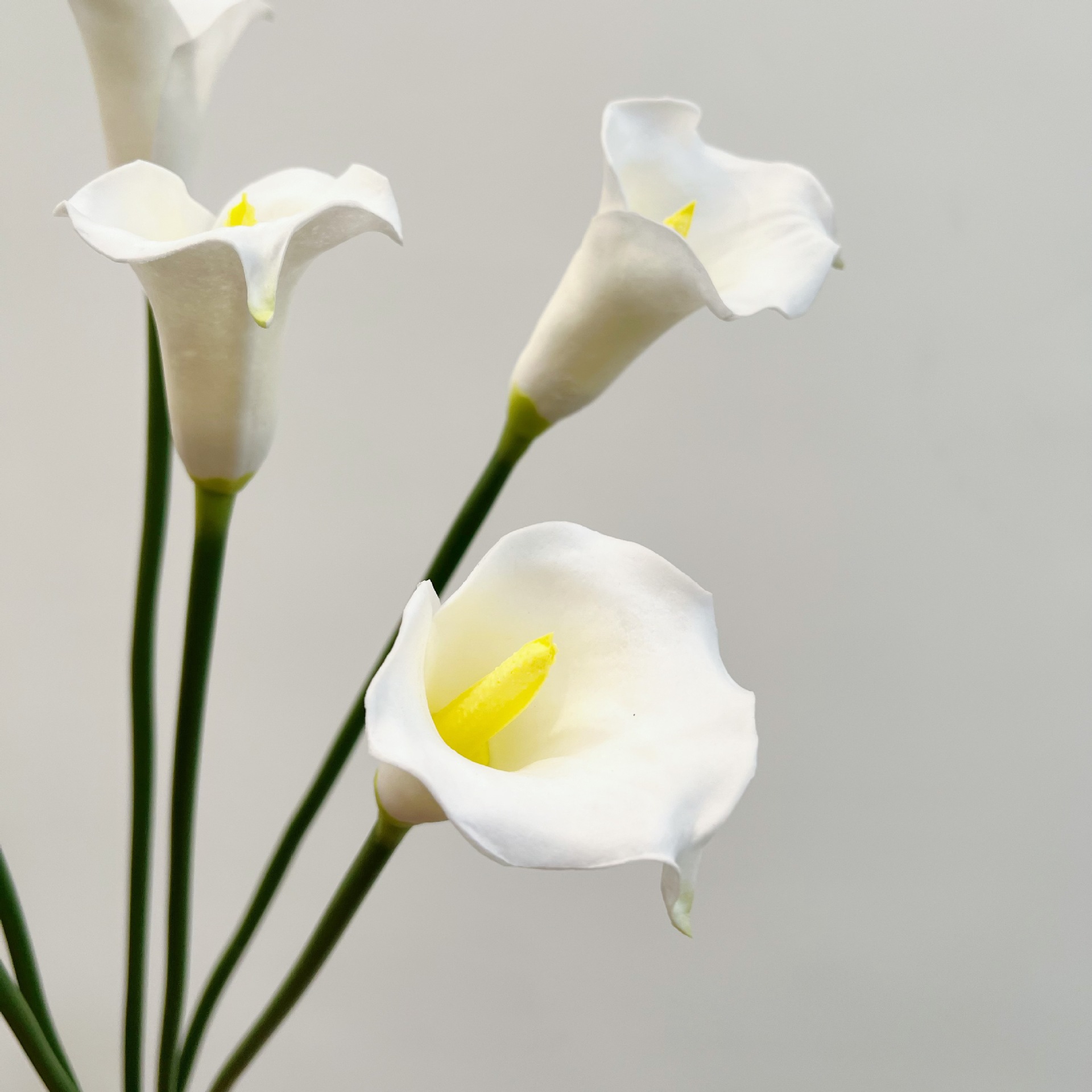 Fleur artificielle de lys call - Florist Supply Bulk avis et prix