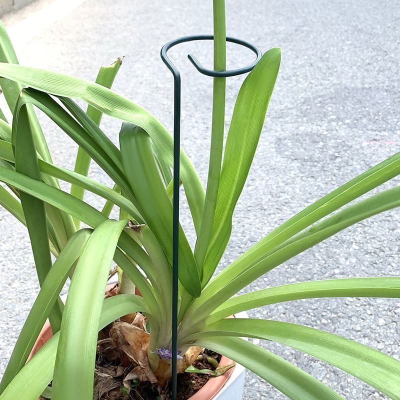 Support d'arbustes pour plante - Florist Supply Bulk avis et prix
